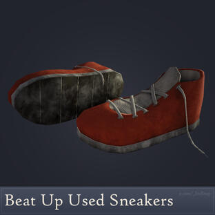 Beat Up Used Sneakers